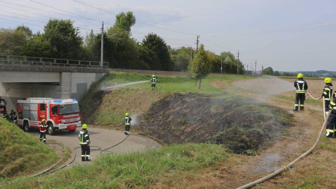 Böschungsbrand in Schusteredt