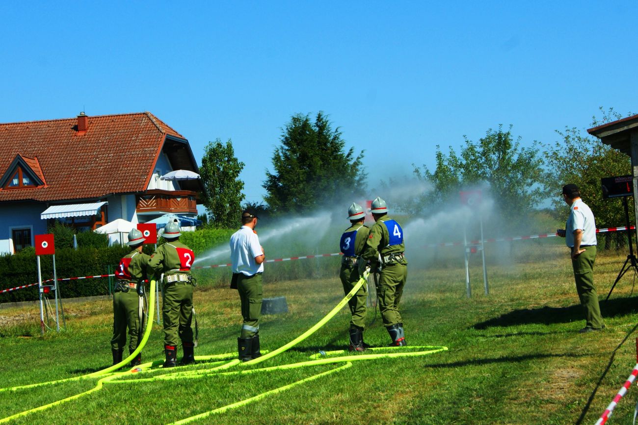 Vorschau des Bildes