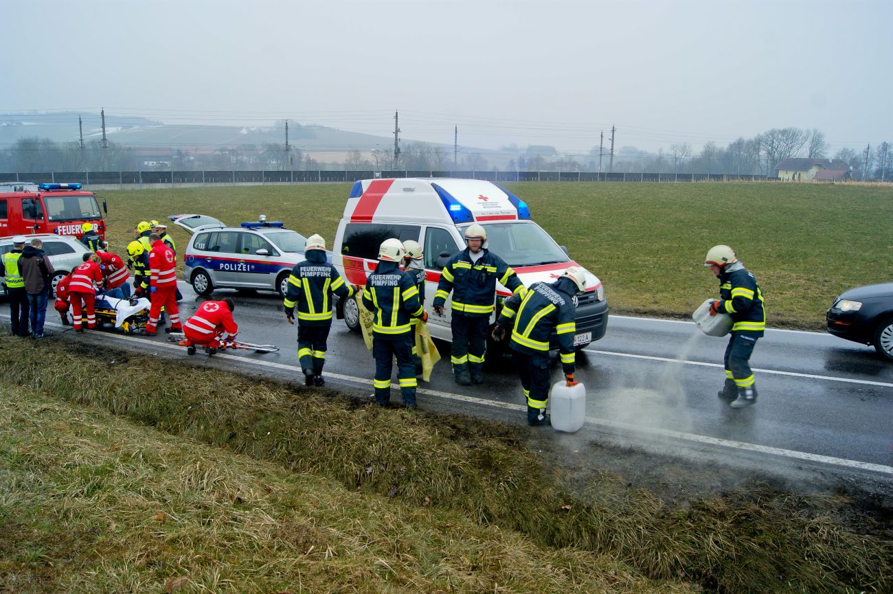 Vorschau des Bildes