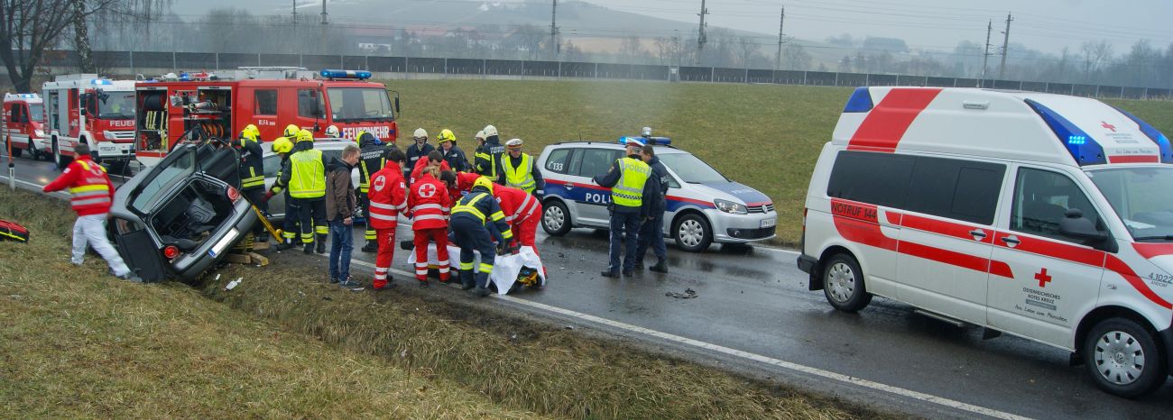 Vorschau des Bildes