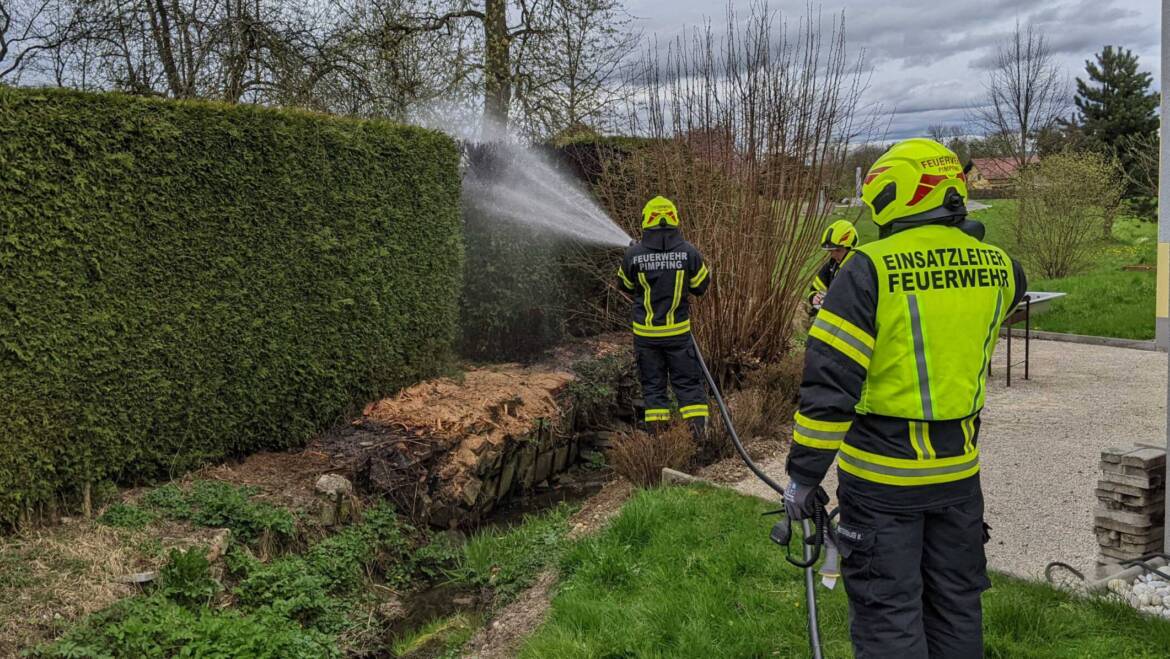 Heckenbrand in der Heitzingerau