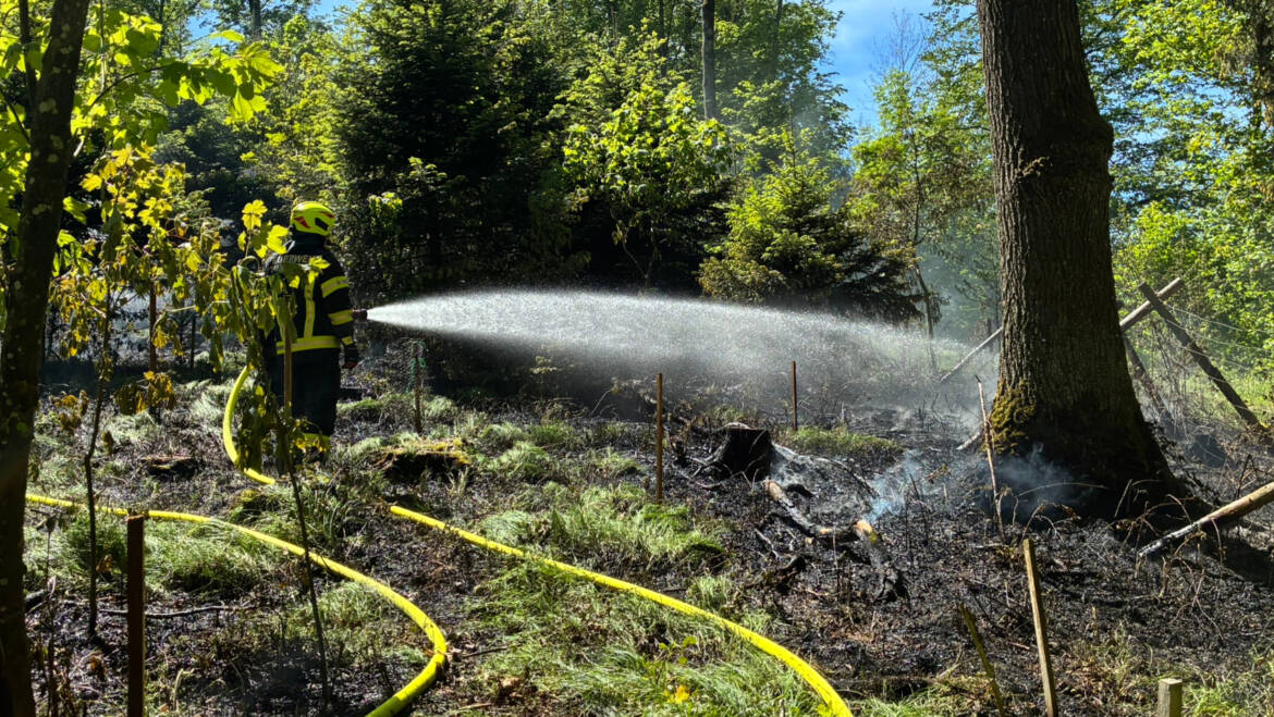 Waldbrand in Winertsham