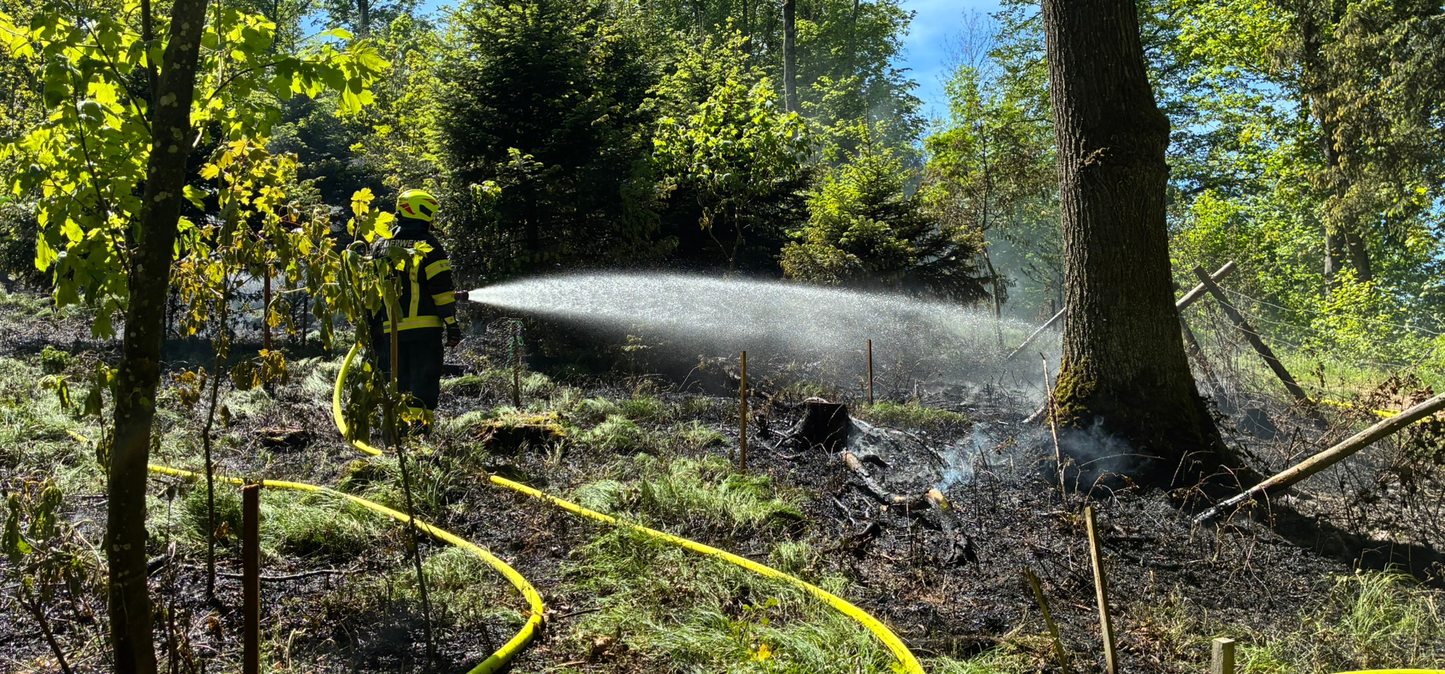 20260503_Waldbrand (1)