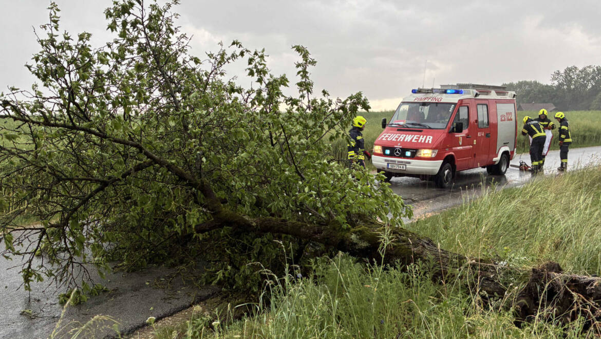 Sturmfront mit mehreren Einsätzen