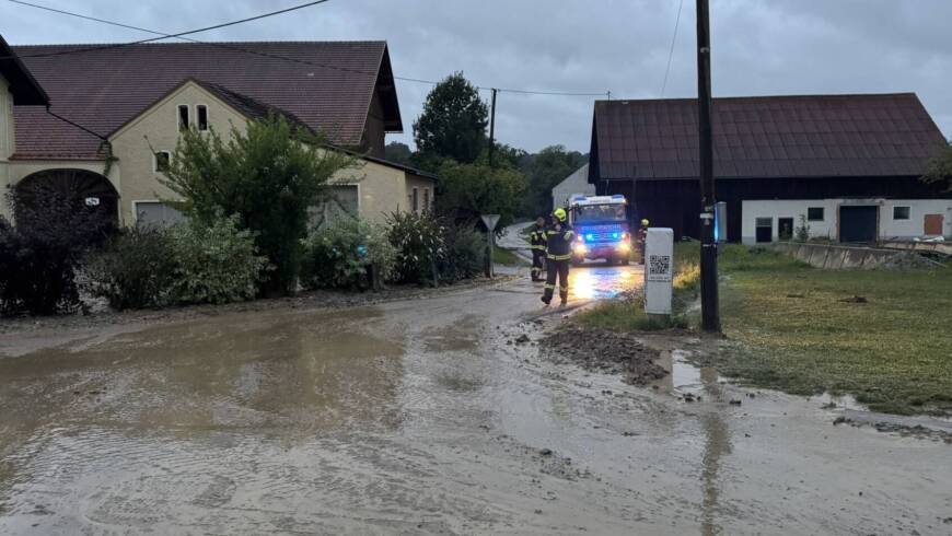 Fahrbahnreinigung nach Sturmereignis